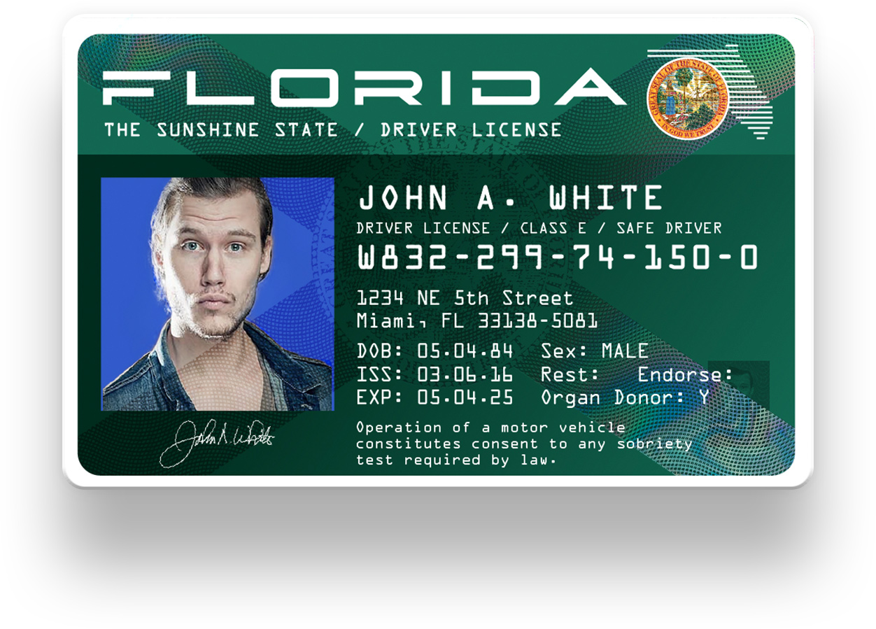 dmv license check florida