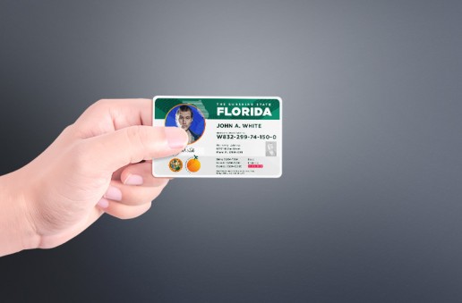 Redesign: Florida Drivers License