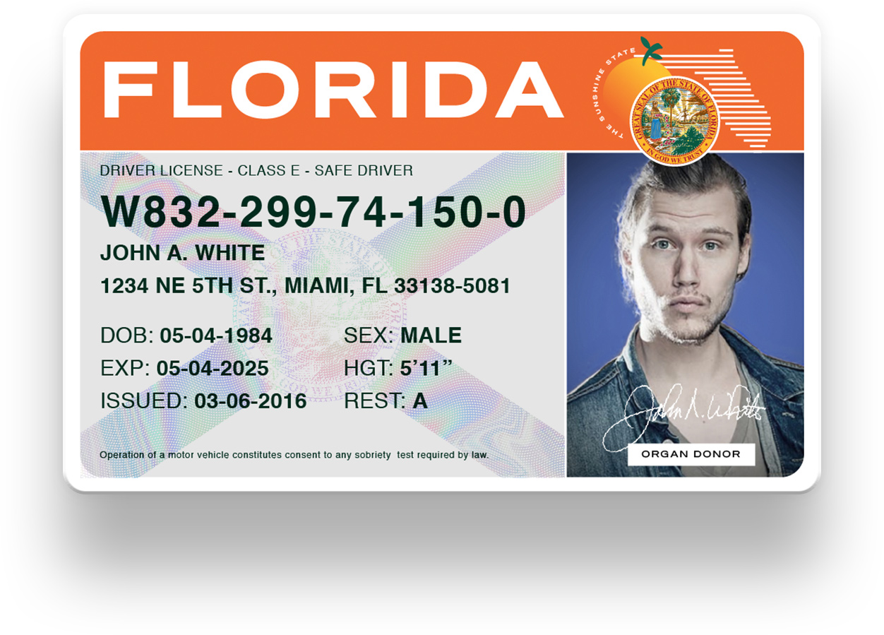 florida drivers license template photoshop