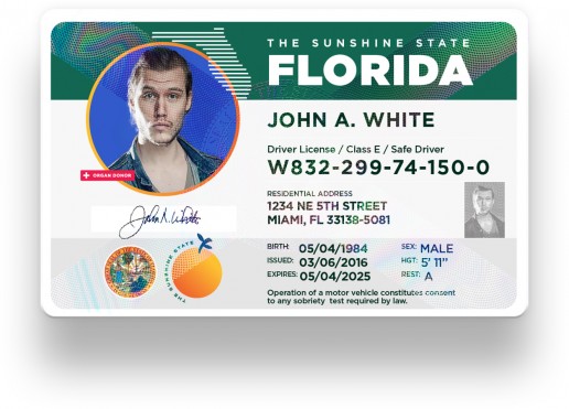 editable florida drivers license template