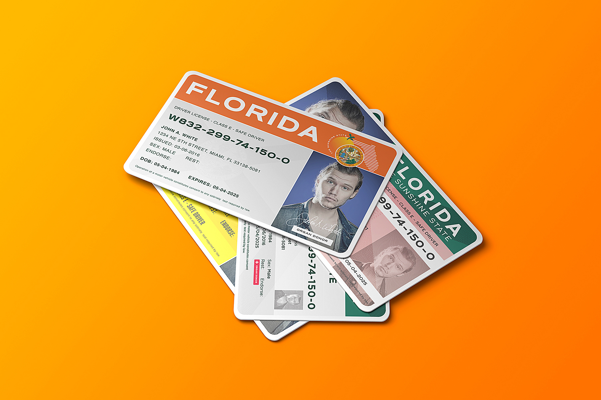 florida department of drivers license check